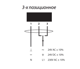 10Hm_3p.jpg