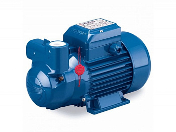 Насос самовсасывающий Pedrollo CKR 80-E